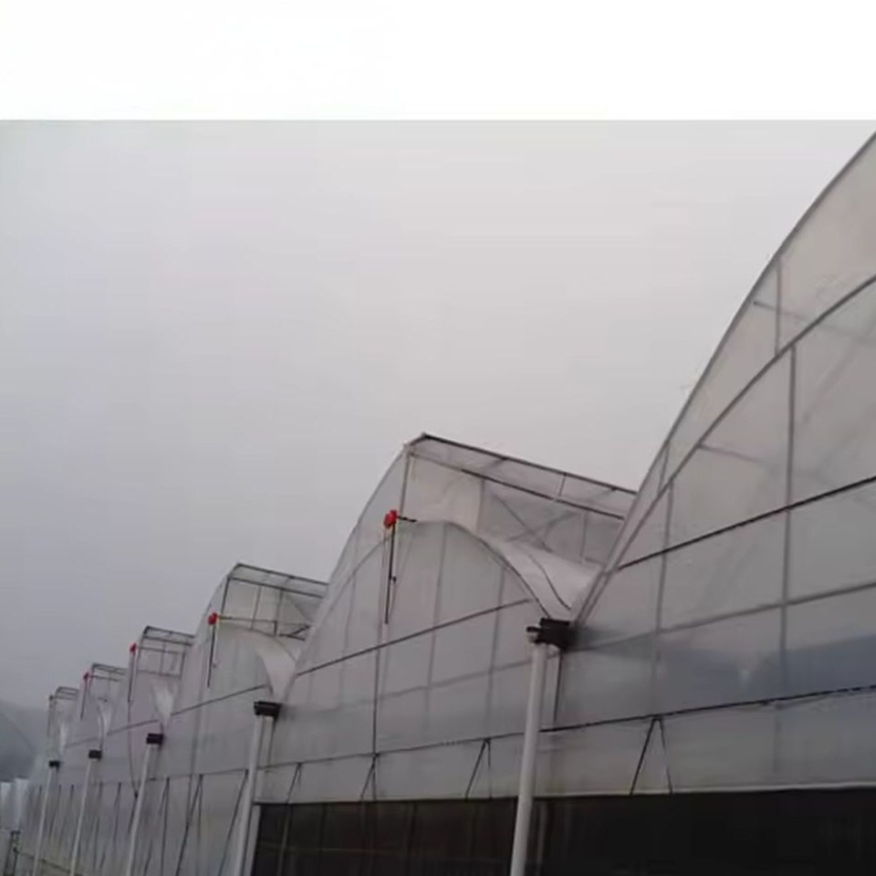 Side walls of a row of film greenhouses with ventilation openings