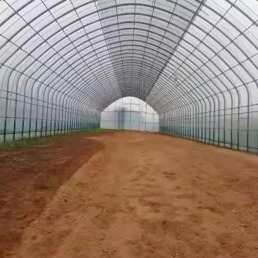 steel arch frame inside a tunnel greenhouse during construction
