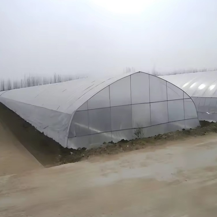 plastic film cover over the arch frame of a farm tunnel greenhouse