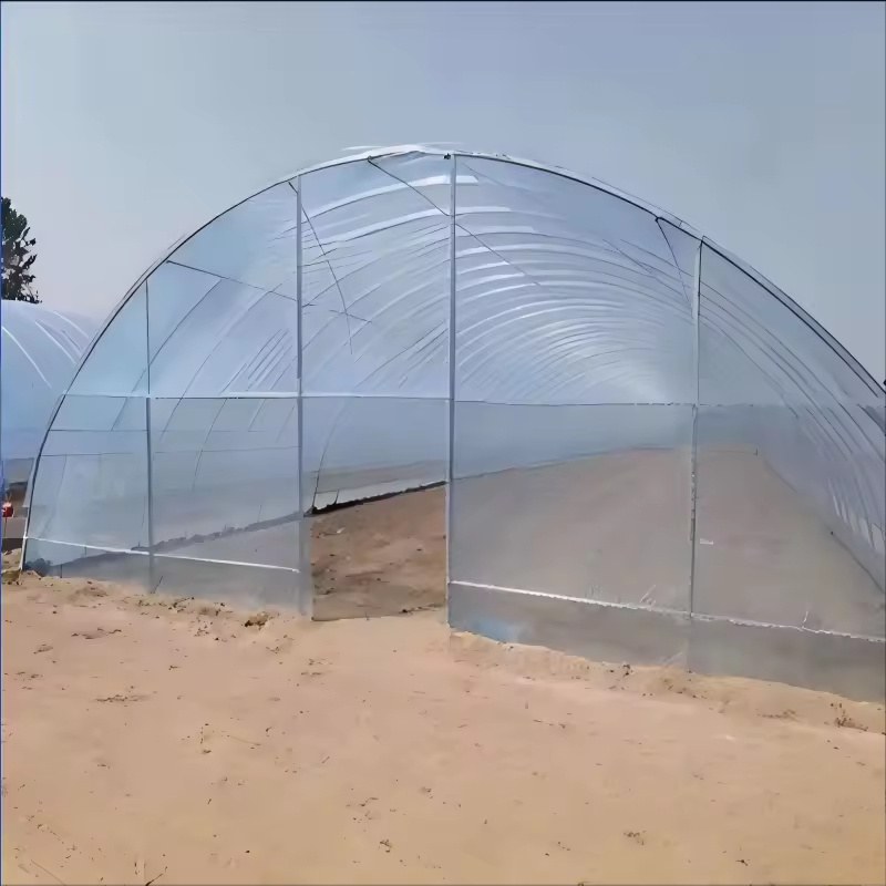 Farm Tunnel Greenhouse with Plastic Film for Tomato and Vegetable Growing