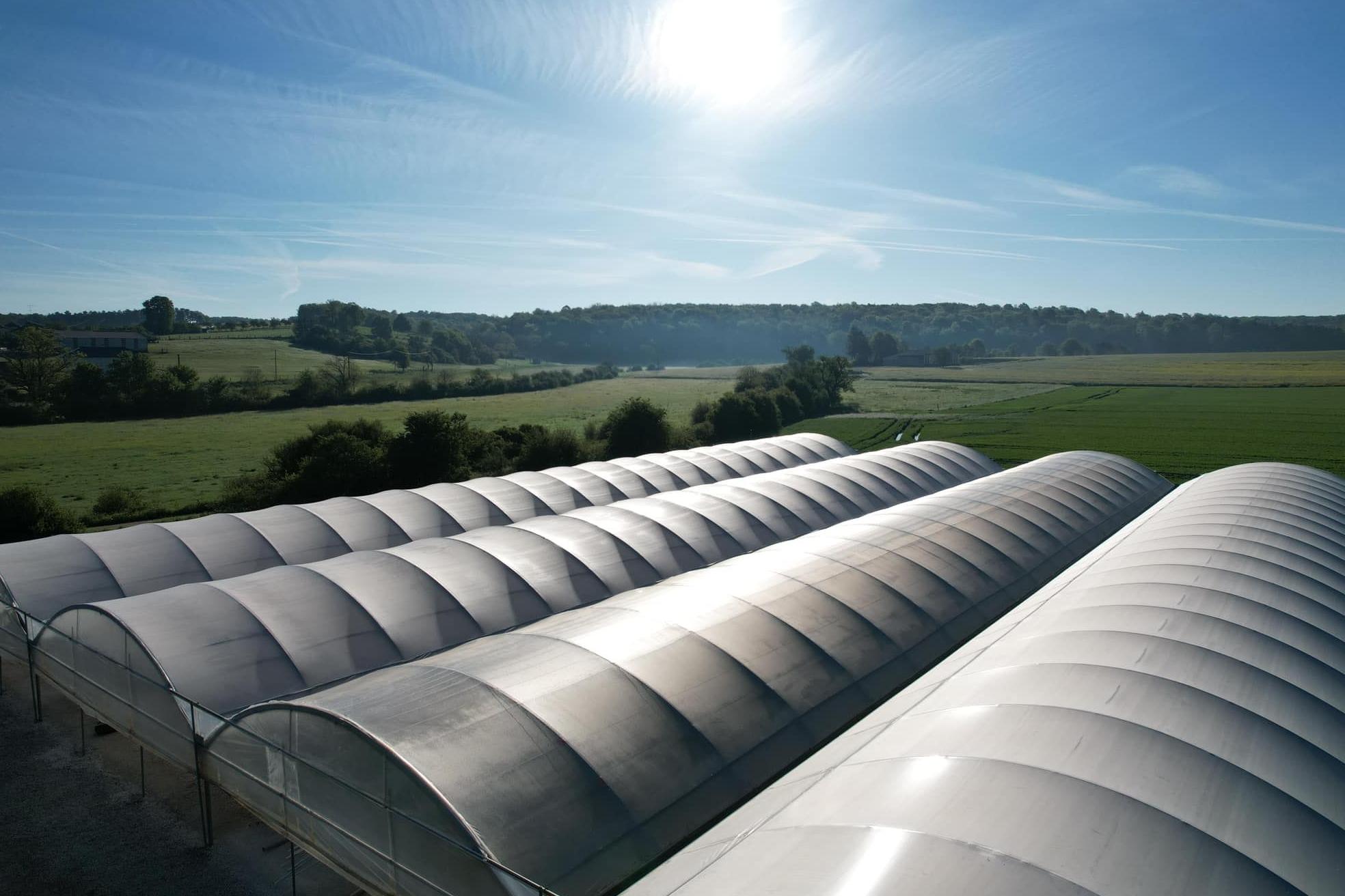 Aluminium Frame Steel Pipe Greenhouse for Commercial Orchid Growing