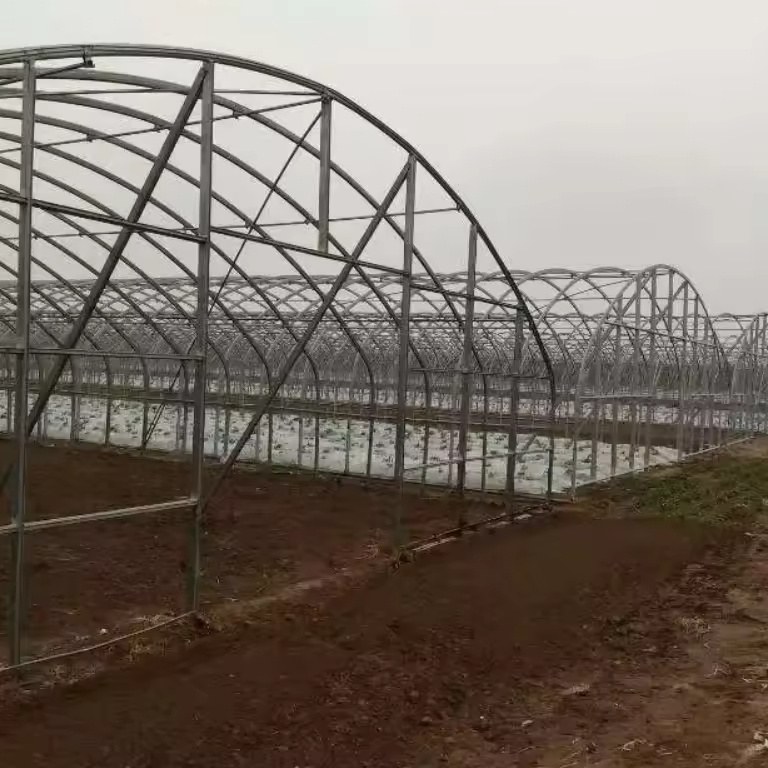 Rows of galvanized arch frames ready for covering on a high tunnel greenhouse project