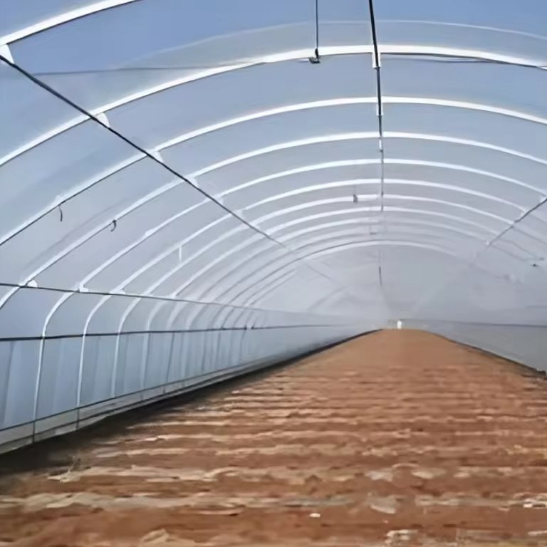 Interior of a finished high tunnel greenhouse with covered walls and prepared ground