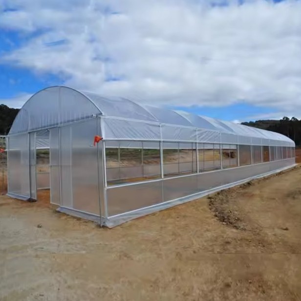 Long exterior view of a square profile film tunnel greenhouse with arched roof
