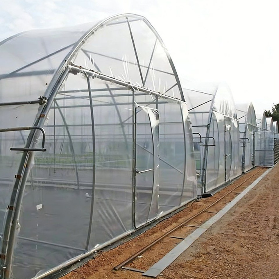 Range of multi span plastic greenhouses with film covers and vertical side walls