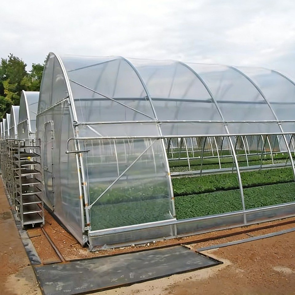 Side entrance and glazed end of a multi span plastic greenhouse on a farm