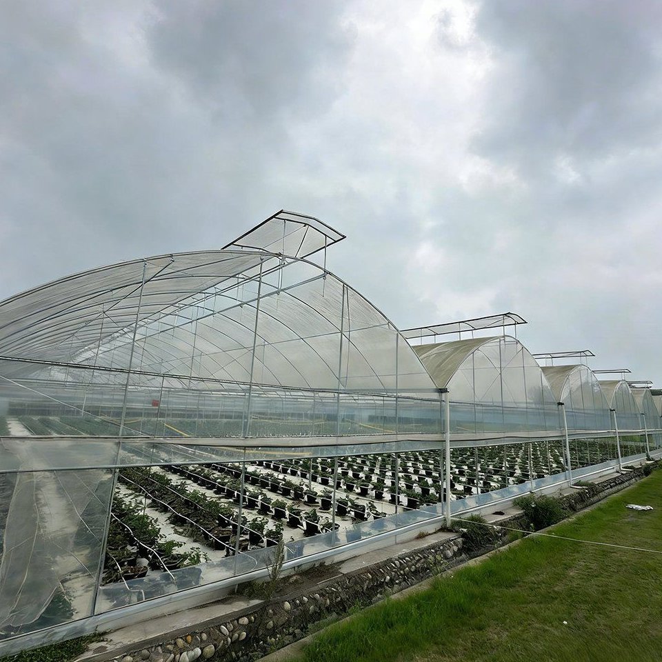 Arch roofed film and panel greenhouses in a field under a cloudy sky