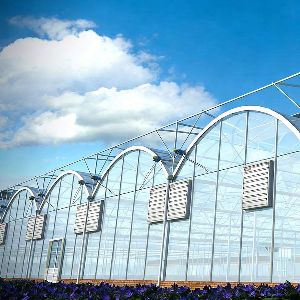 Exterior of a single span plastic film tunnel greenhouse with roof vents and arched roof
