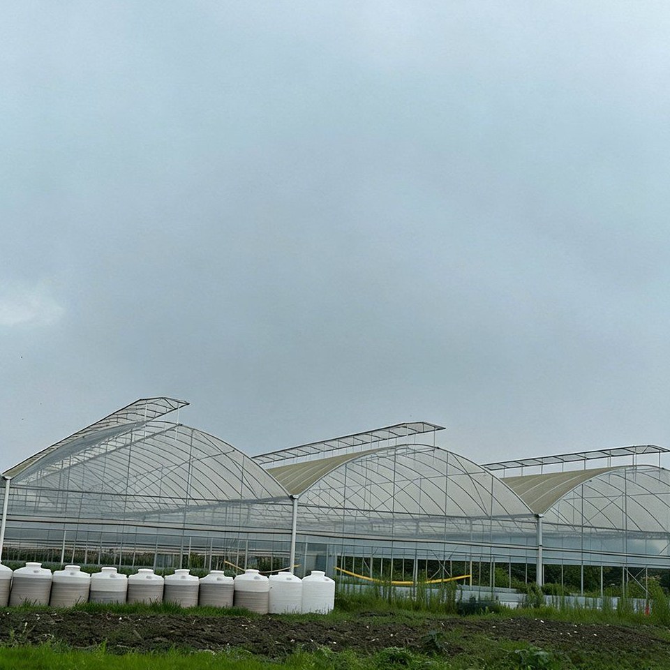 Field of plastic film tunnel greenhouses under a cloudy sky