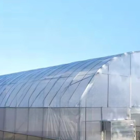Commercial tunnel greenhouse with an end wall opening and cooling pad wall