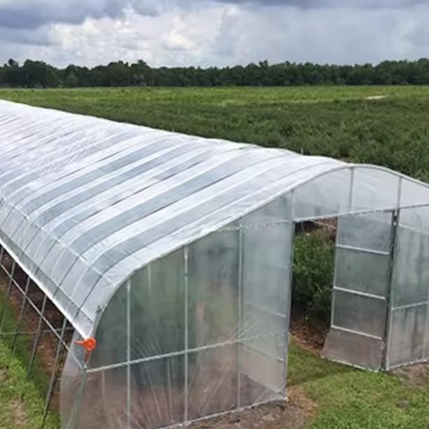 Group of commercial tunnel greenhouses on a vegetable growing site