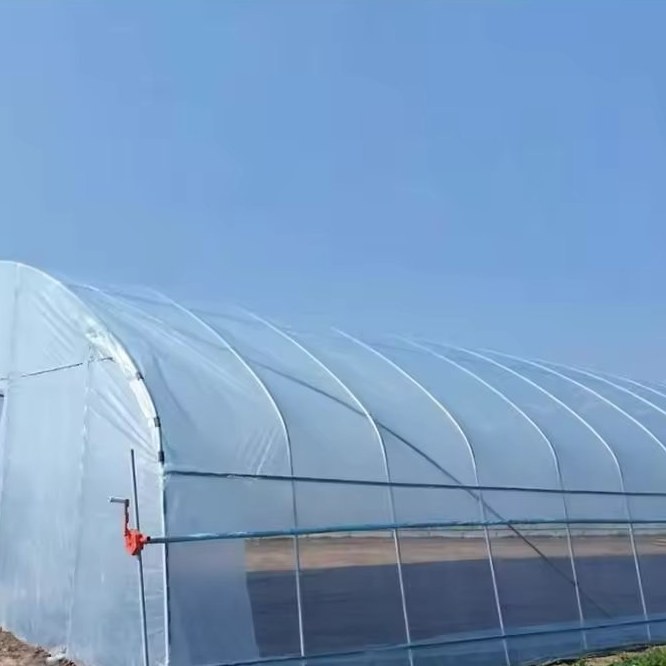 Commercial tunnel greenhouse with film cover against a blue sky