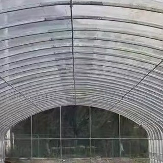 Steel arch frame and film cover inside a heavy duty tunnel greenhouse