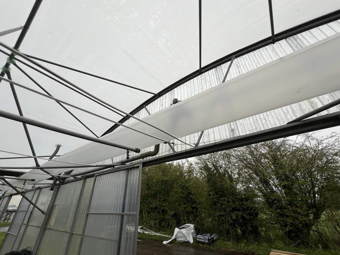 Interior view of a film covered tunnel greenhouse looking up at the roof frame