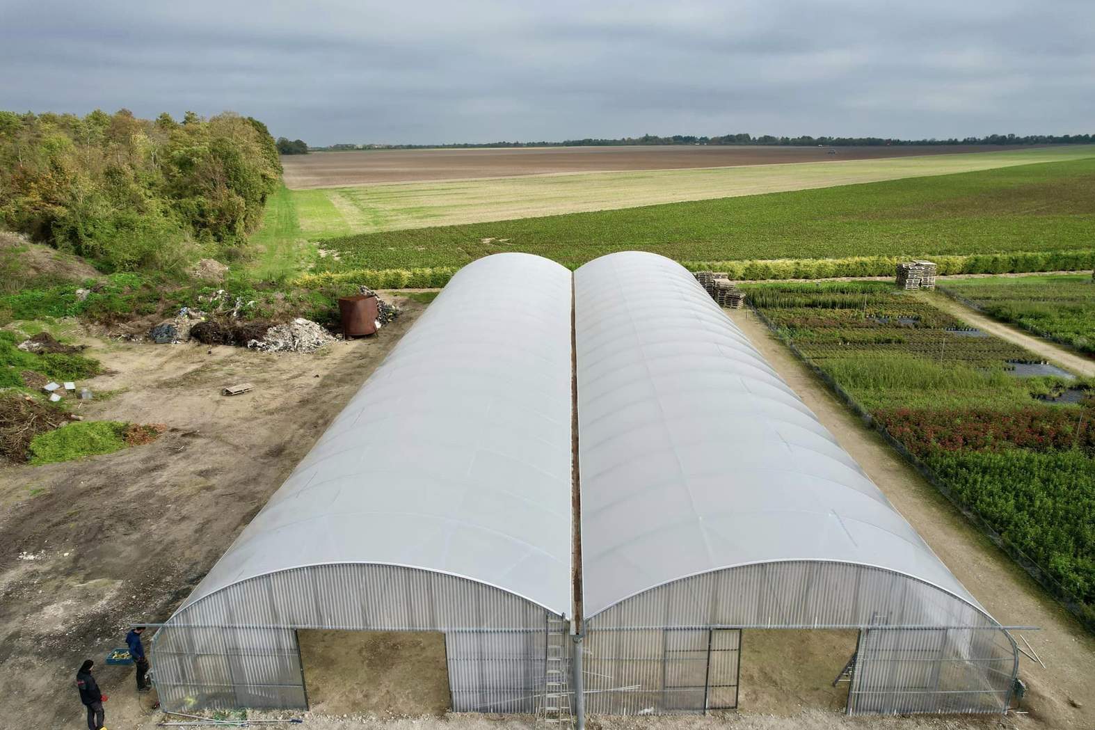 Pair of single span film tunnel greenhouses standing in a field