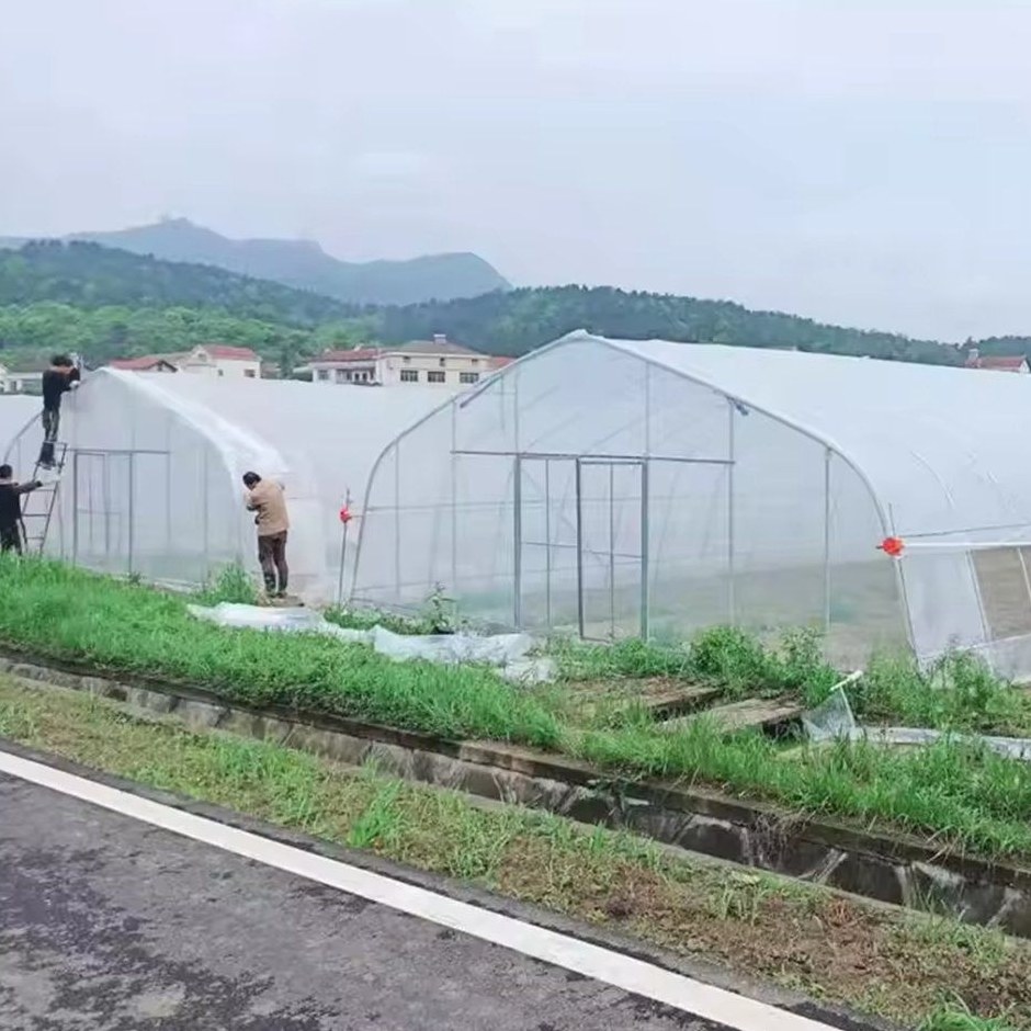 Film tunnel greenhouses in a field with growing beds laid out in front