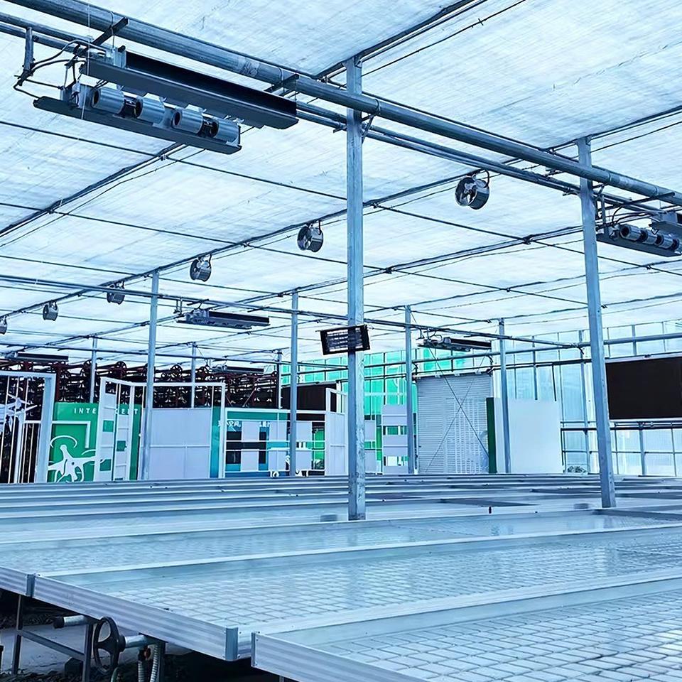 Rows of hydroponic gutter channels and circulation fans inside a film greenhouse