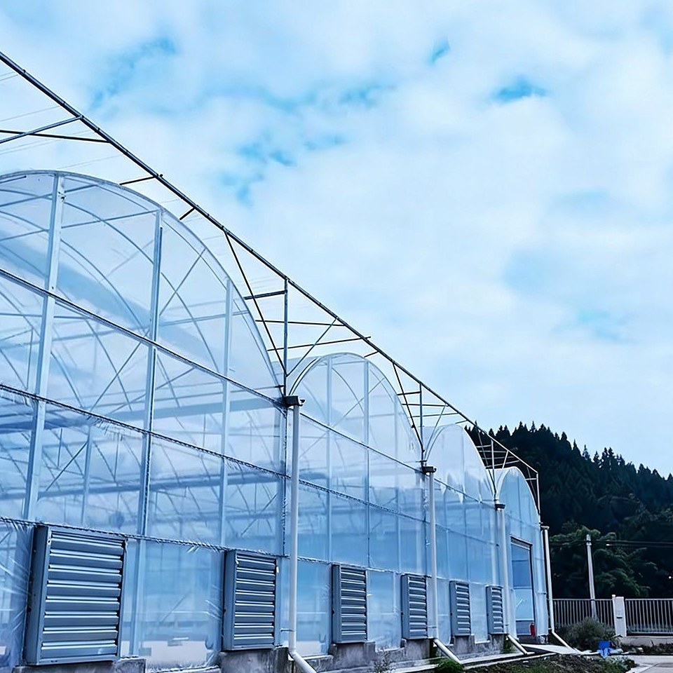 Greenhouse with a cooling pad wall along one side and fields beyond