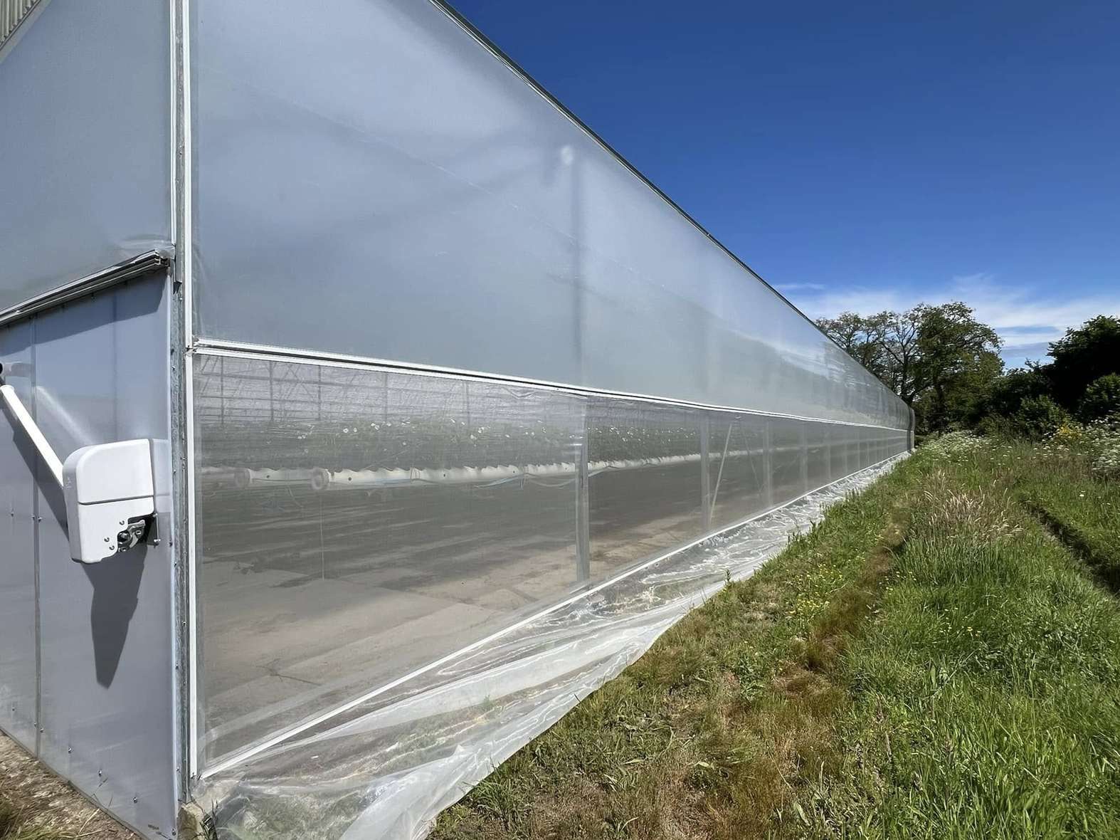 Roll up side ventilation and drive unit along the wall of a plastic film tunnel greenhouse
