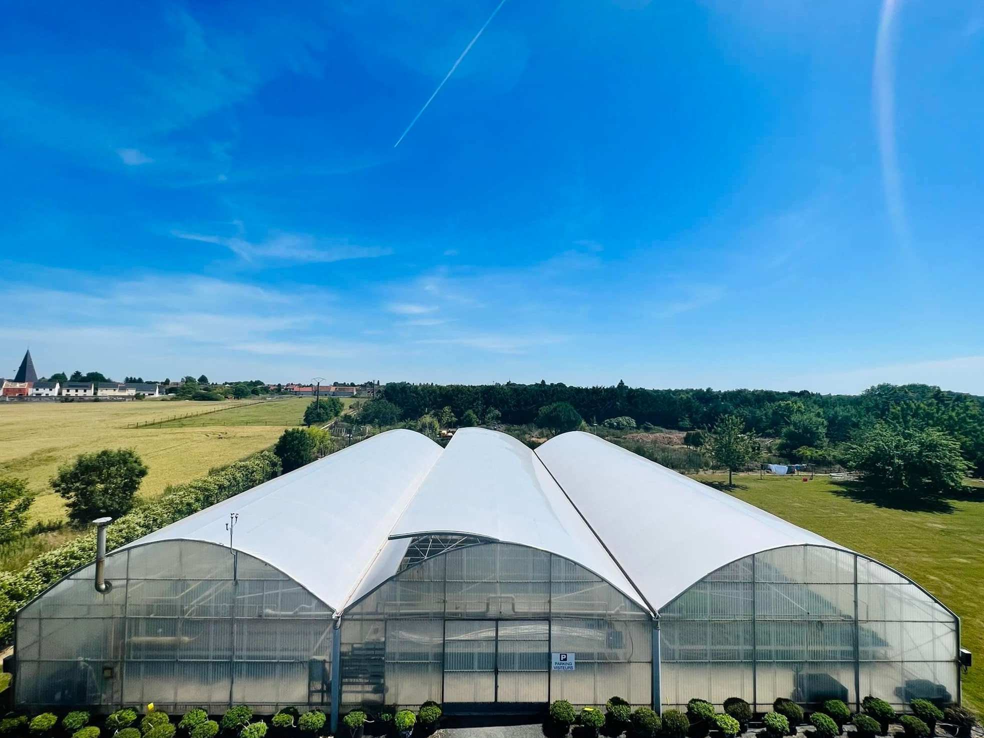 Multi-Span Plastic Film Tunnel Greenhouse with Side Ventilation