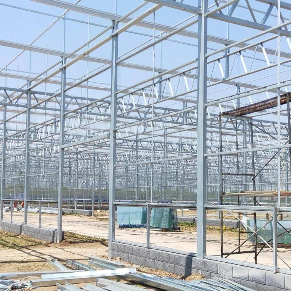 Steel frame of a Venlo greenhouse during erection, seen from inside