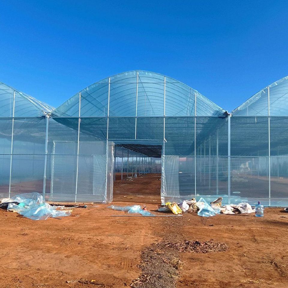 Venlo glass greenhouse with a shade net laid over the roof