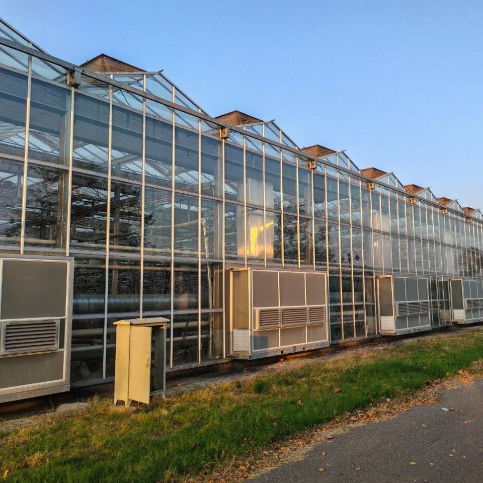 Venlo Glass Greenhouse with Ridge Vents for Vegetable Farmers