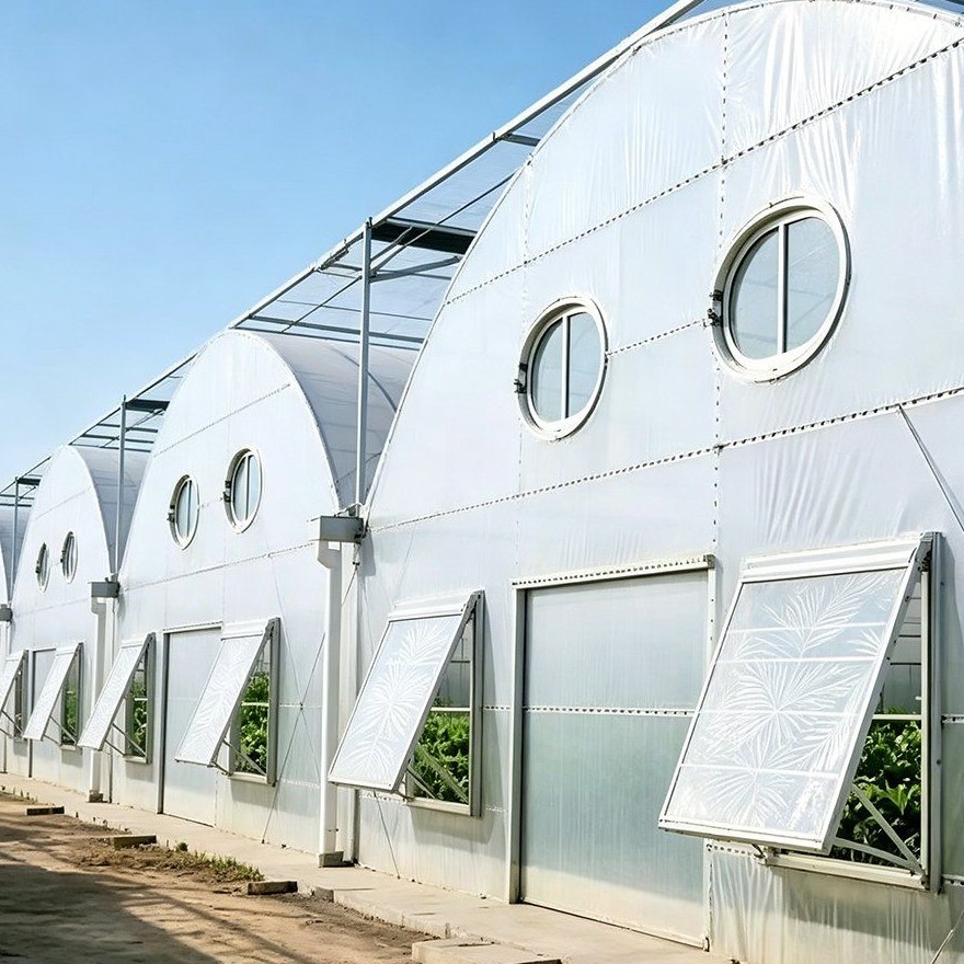 Film greenhouse with a white cover and round vents in the end wall