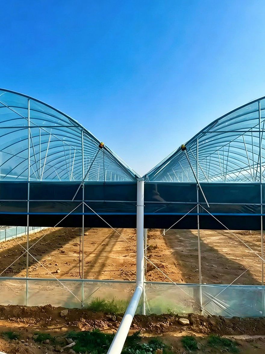 Bare film greenhouse frame set out across an open field