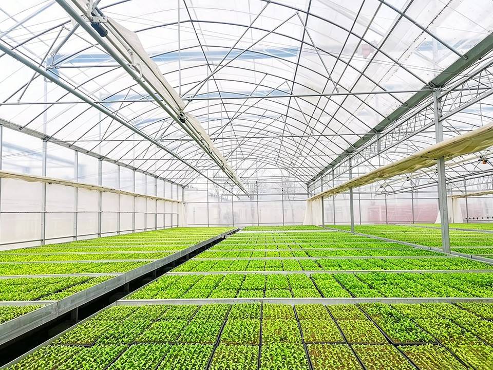 Wholesale Commercial Film Greenhouse Farm Structure Kit for Growers