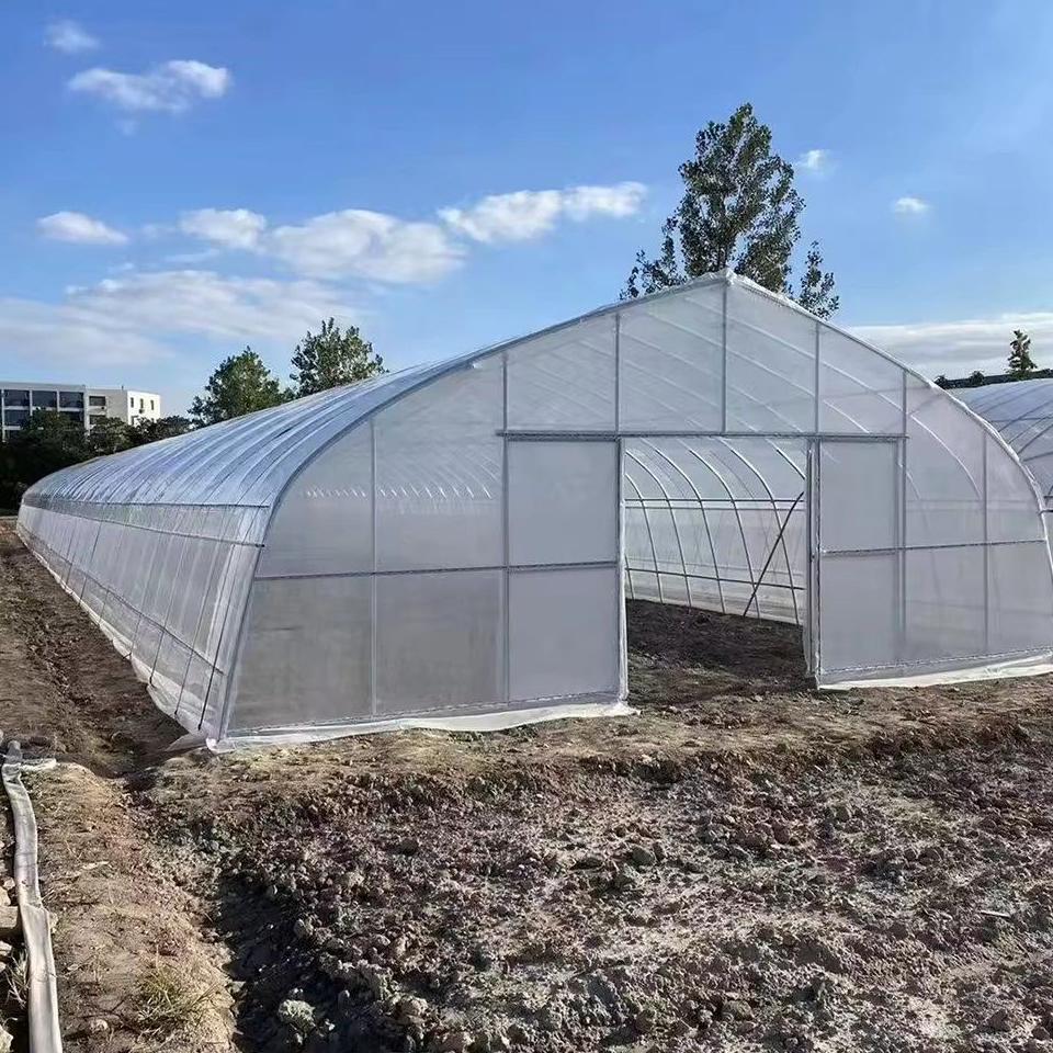Front view of a heavy duty polytunnel with a clear film cover