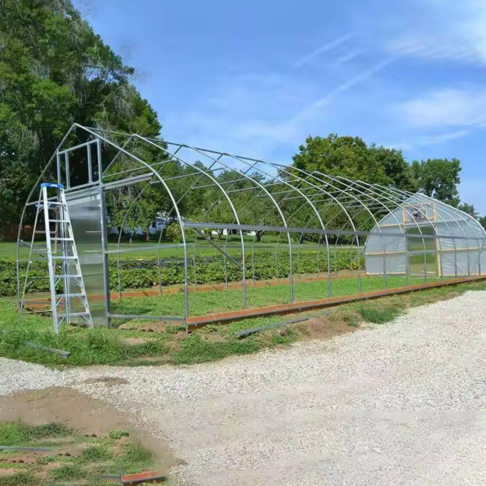 Steel arch frames of a polytunnel standing in a field beside a ladder