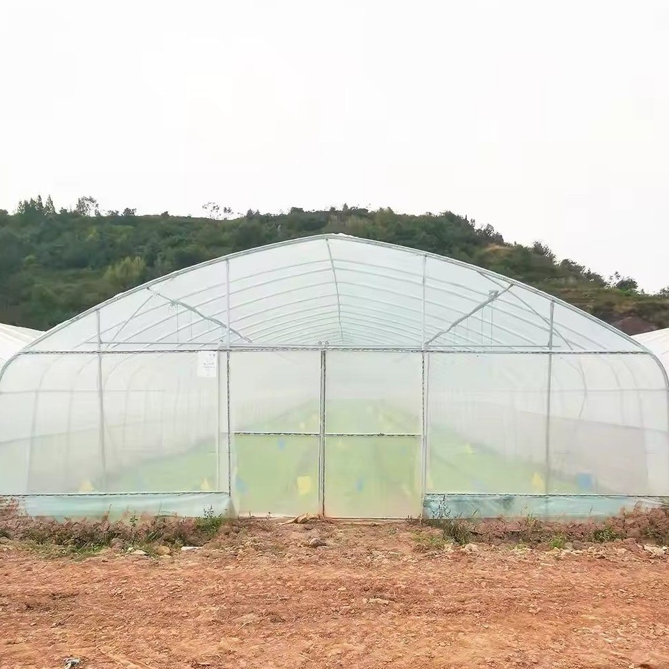Polytunnel with a film cover standing against a wooded hillside