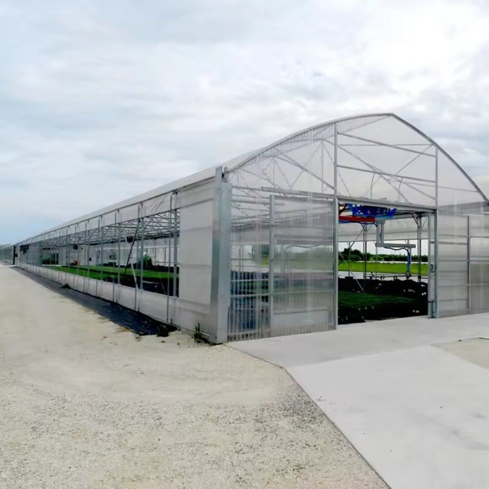 Long gable greenhouse along a concrete apron