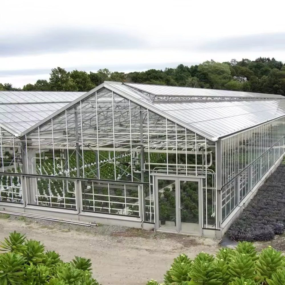Greenhouse Structure with Aluminum Frame and Polycarbonate Cover