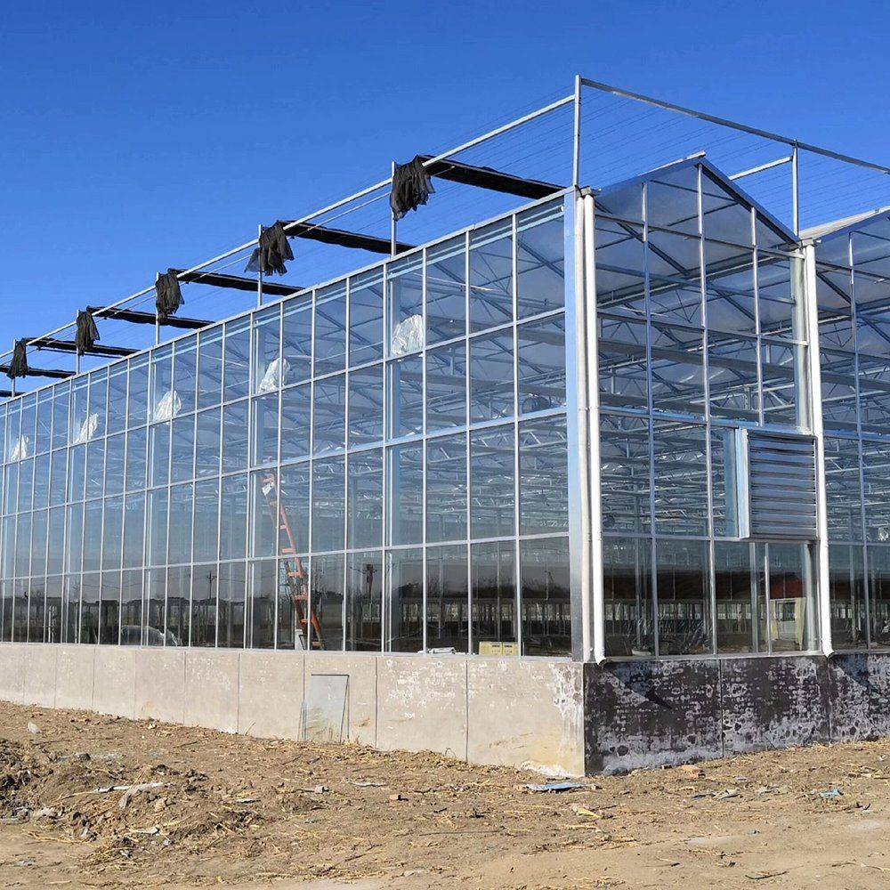 Exterior of a glass greenhouse with the roof vents open and a concrete base wall
