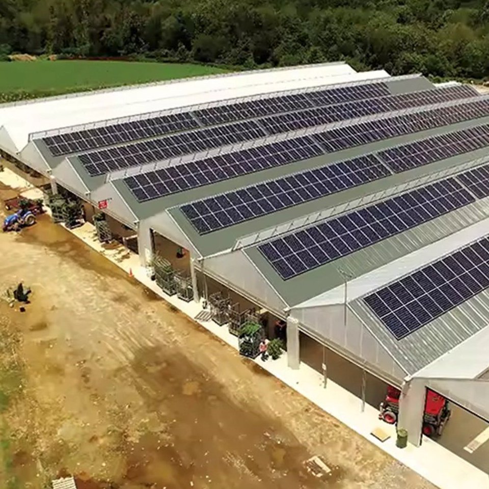 Roof structure and solar mounting rails above a glass greenhouse
