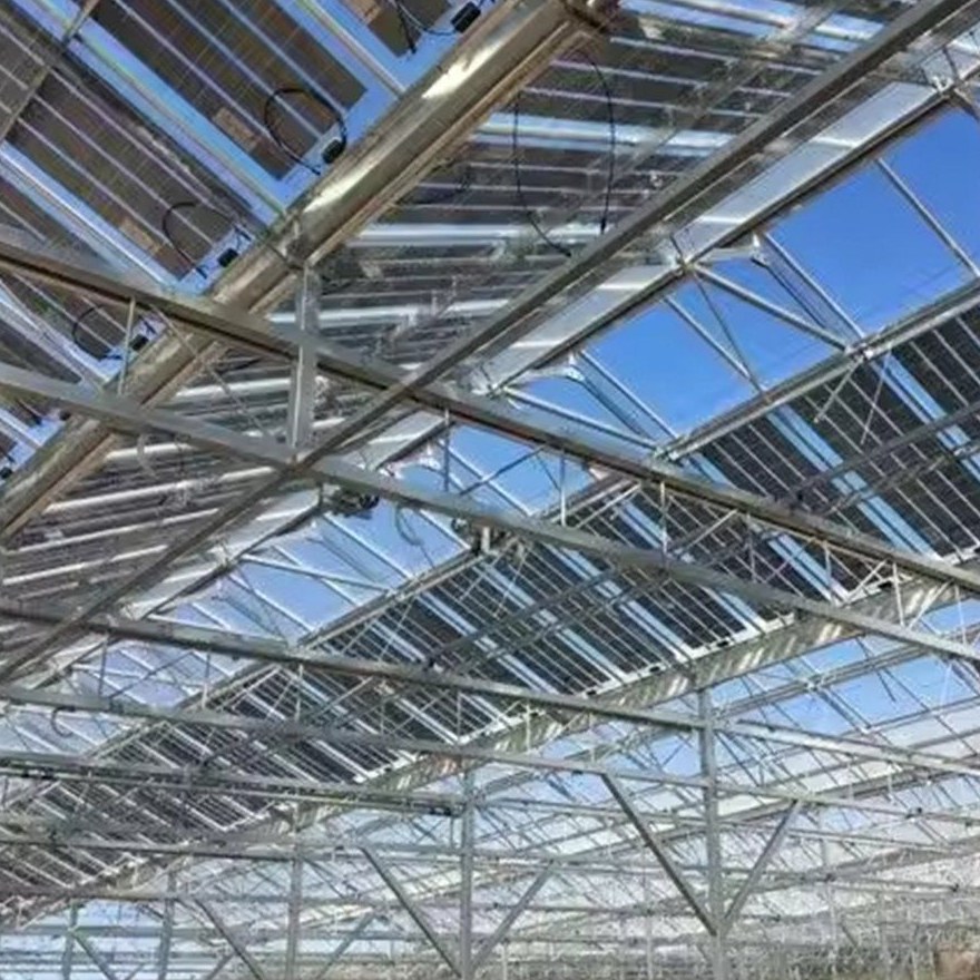 Interior roof structure of a glass greenhouse showing trusses and glazing