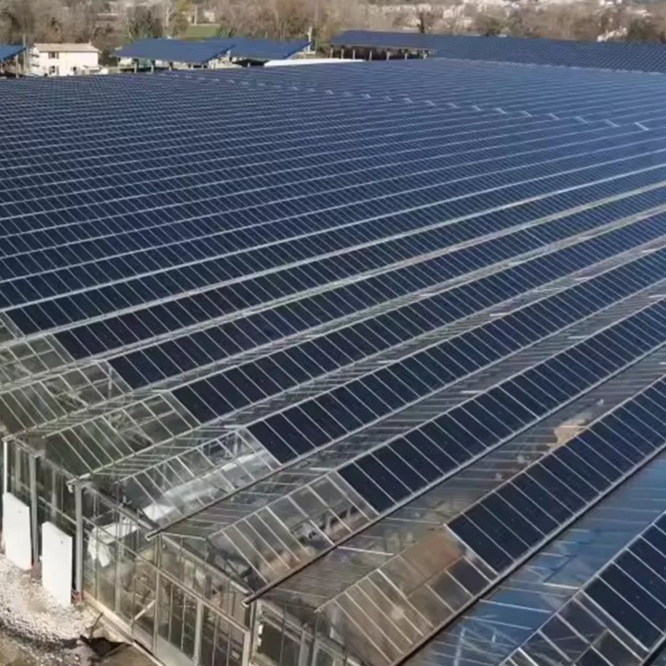 Multi Span Agricultural Glass Greenhouse Structure for Commercial Farms
