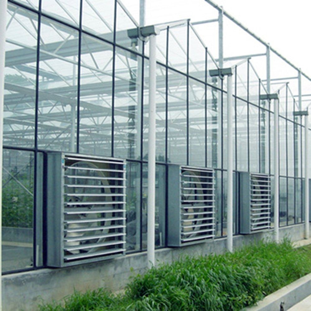 Steel Frame Glass Greenhouse with Hydroponic Irrigation for Vegetables