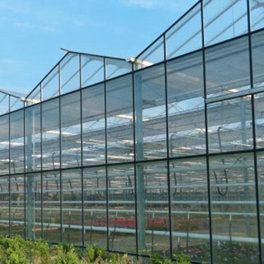 Glazed side wall of a large commercial glass greenhouse