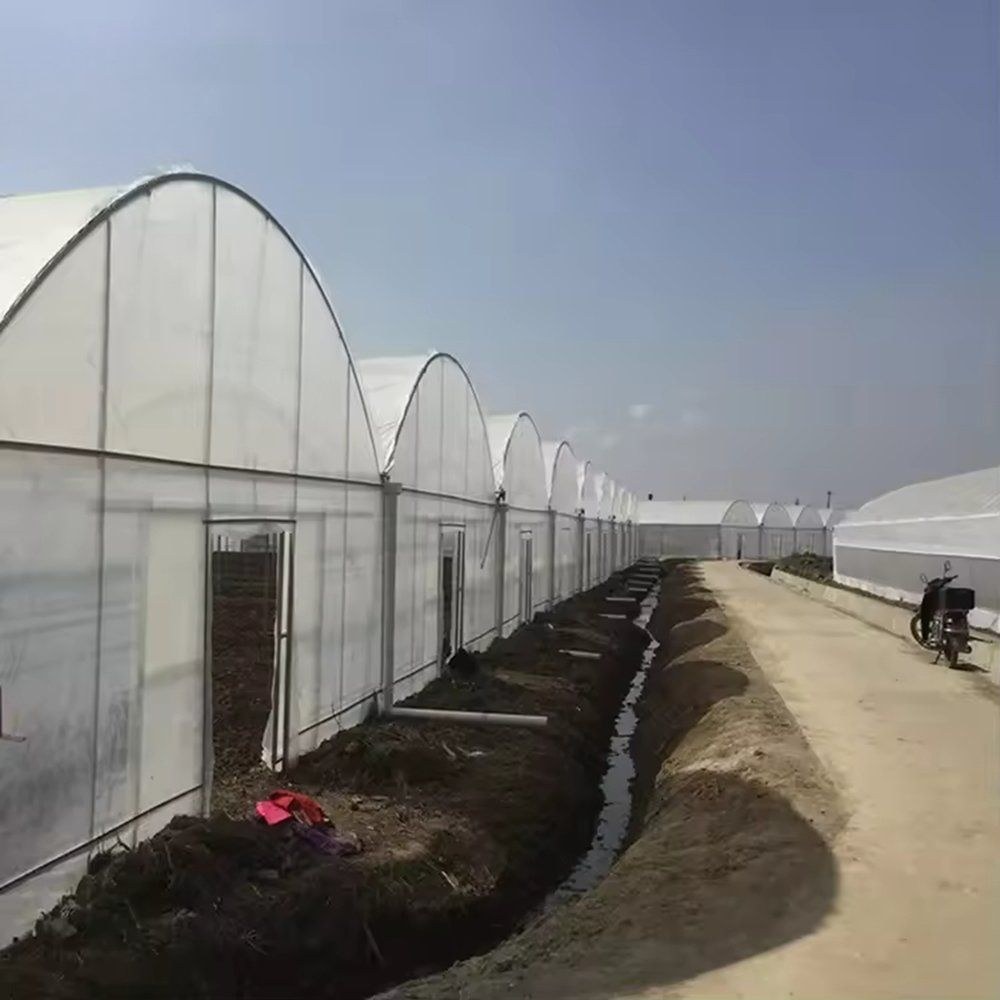A row of arched film greenhouses beside a drainage channel