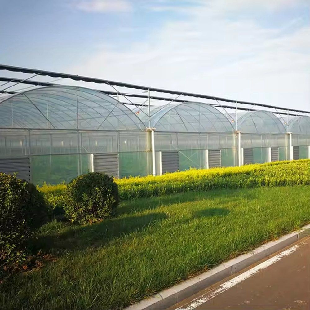 A row of arched film greenhouses beside an open field and a road