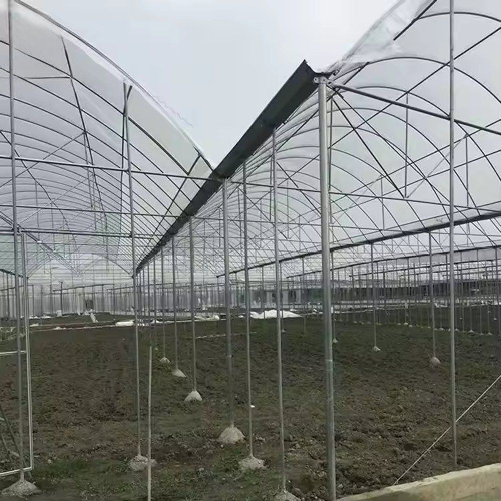 Frame and shade net over a film greenhouse under construction