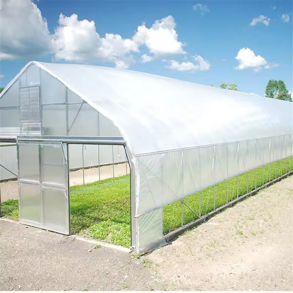 Gothic arch film greenhouse standing on grass under a blue sky