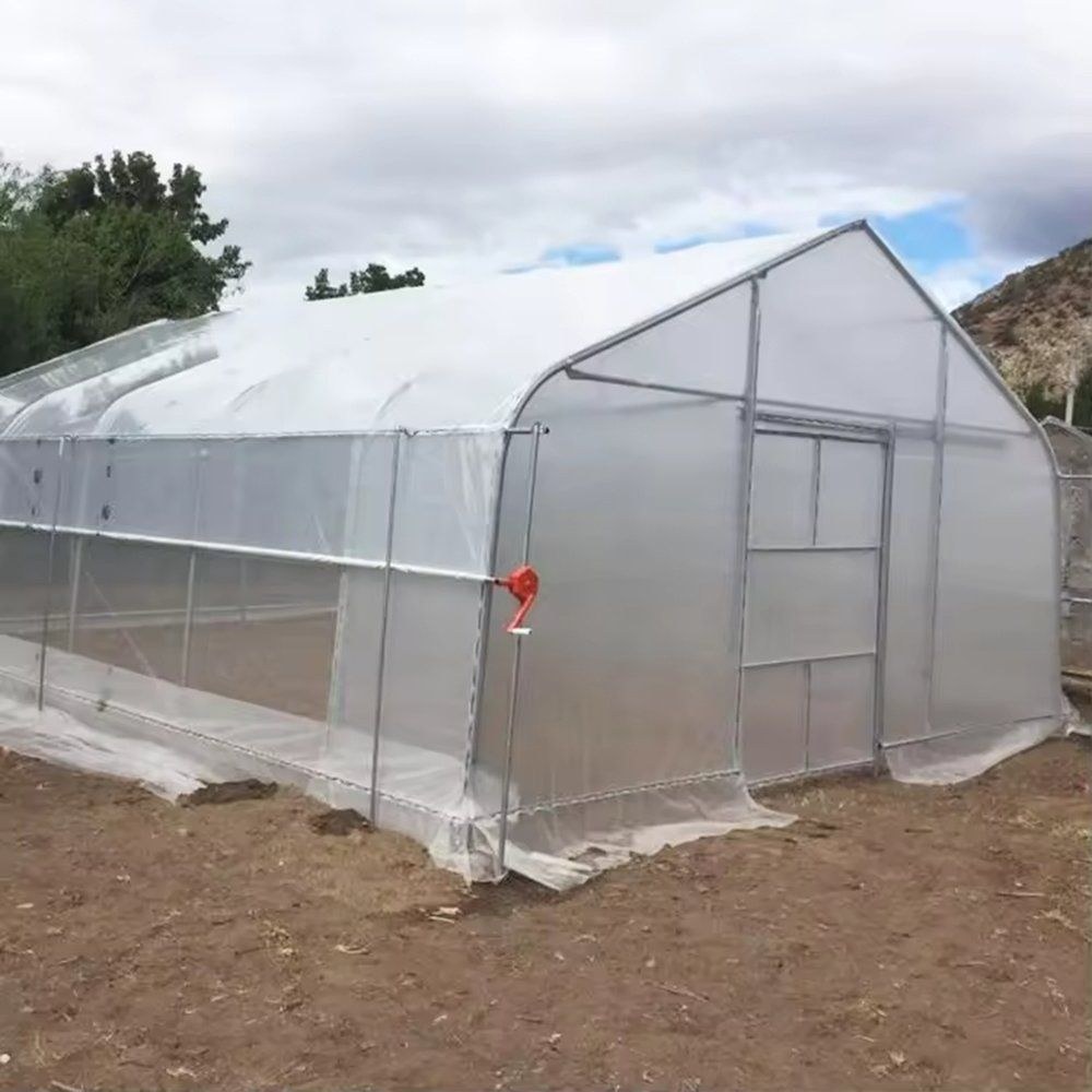 Gothic arch film greenhouse on open ground under a blue sky