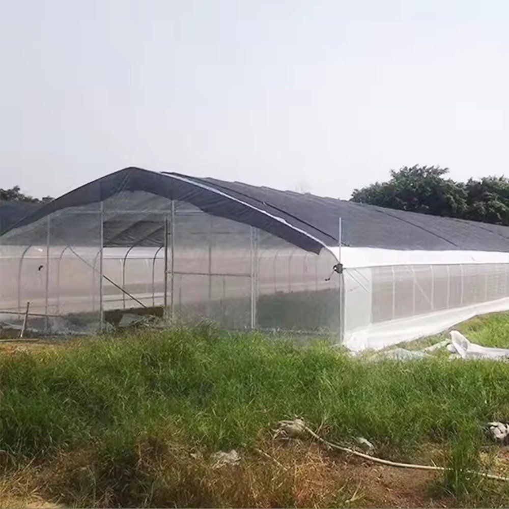 Film greenhouse with a shade net laid over the roof
