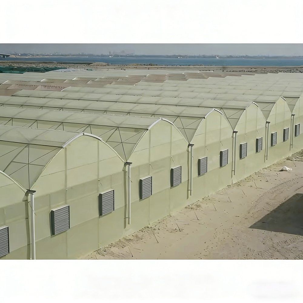 A row of gothic arch film greenhouses with door openings at the gable