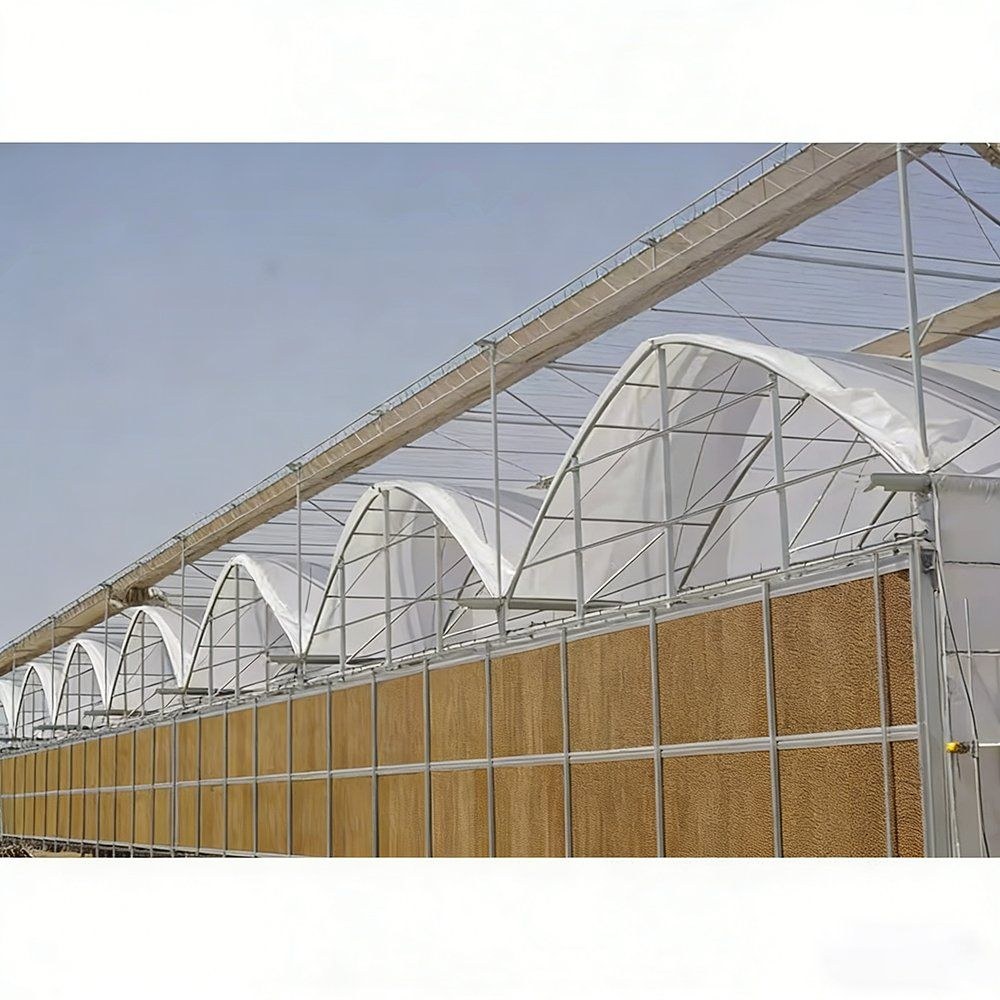 Gothic arch film greenhouse with a slatted side wall