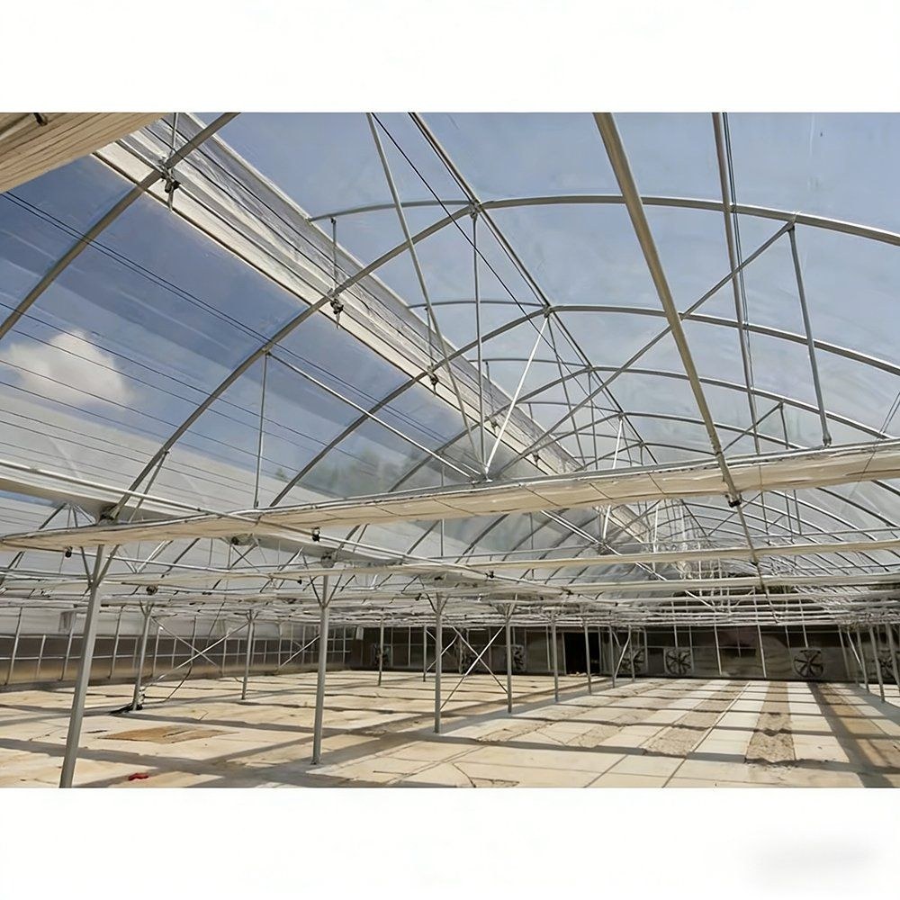 Interior of the film greenhouse showing the arched frame and roof film
